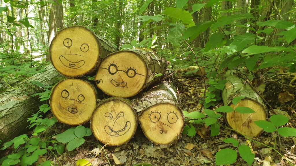 Dessins de visages souriants sur les liernes des arbres