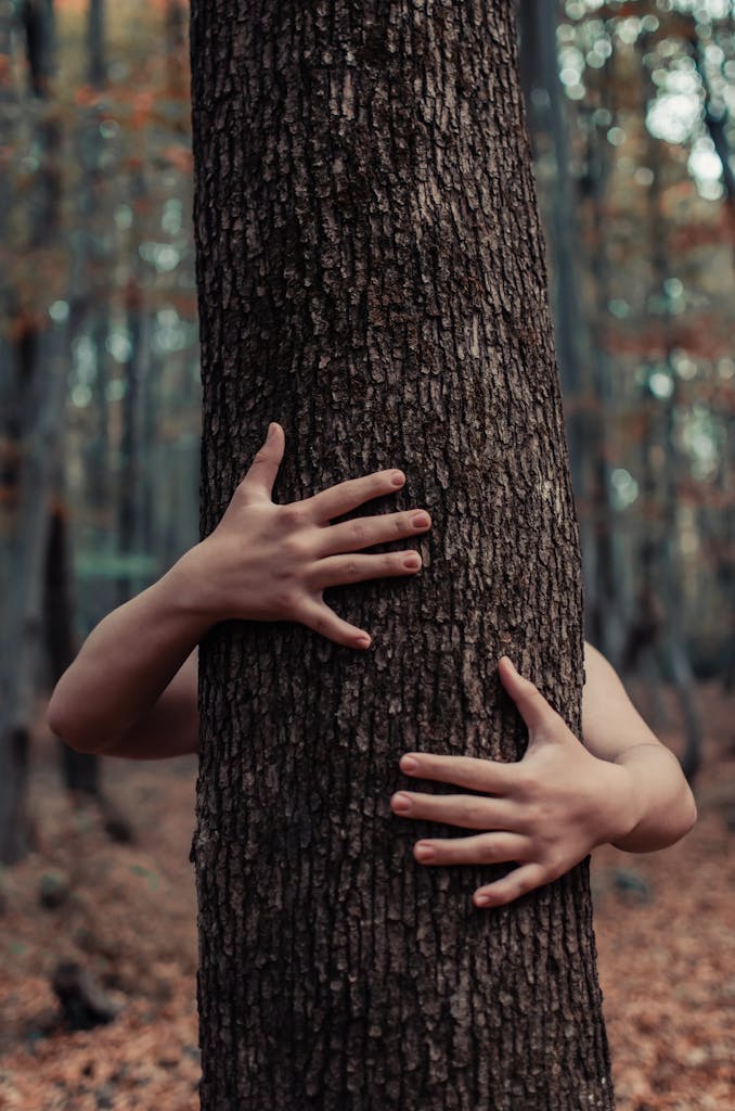 Close-up of hands embracing a tree trunk in a serene autumn forest setting.
