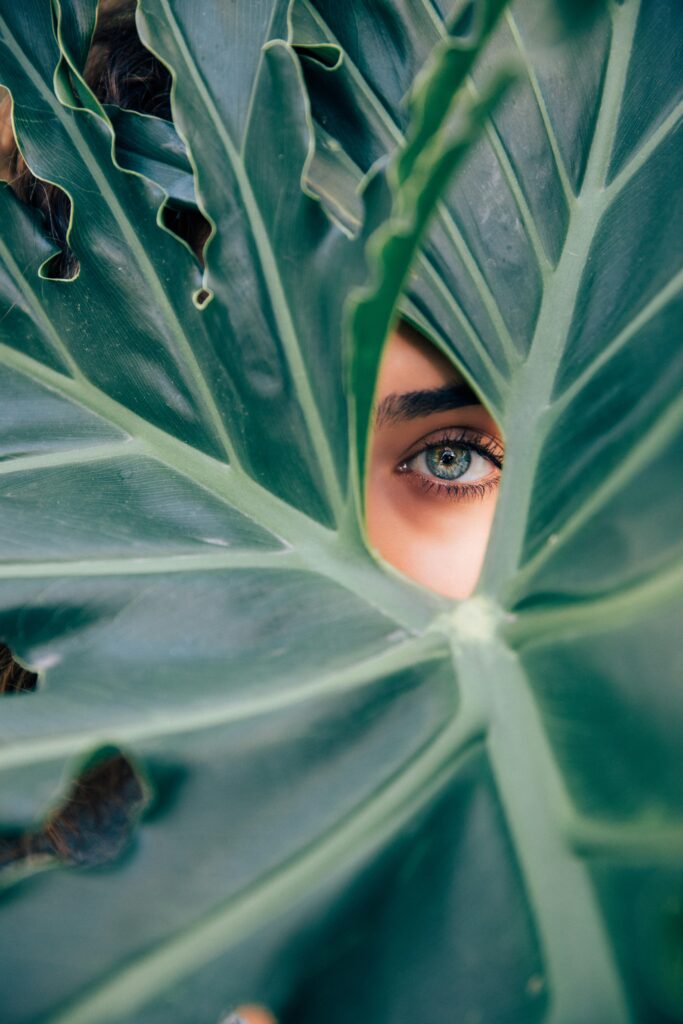 Le vert soigne les yeux, photo de Drew Dizzy Graham