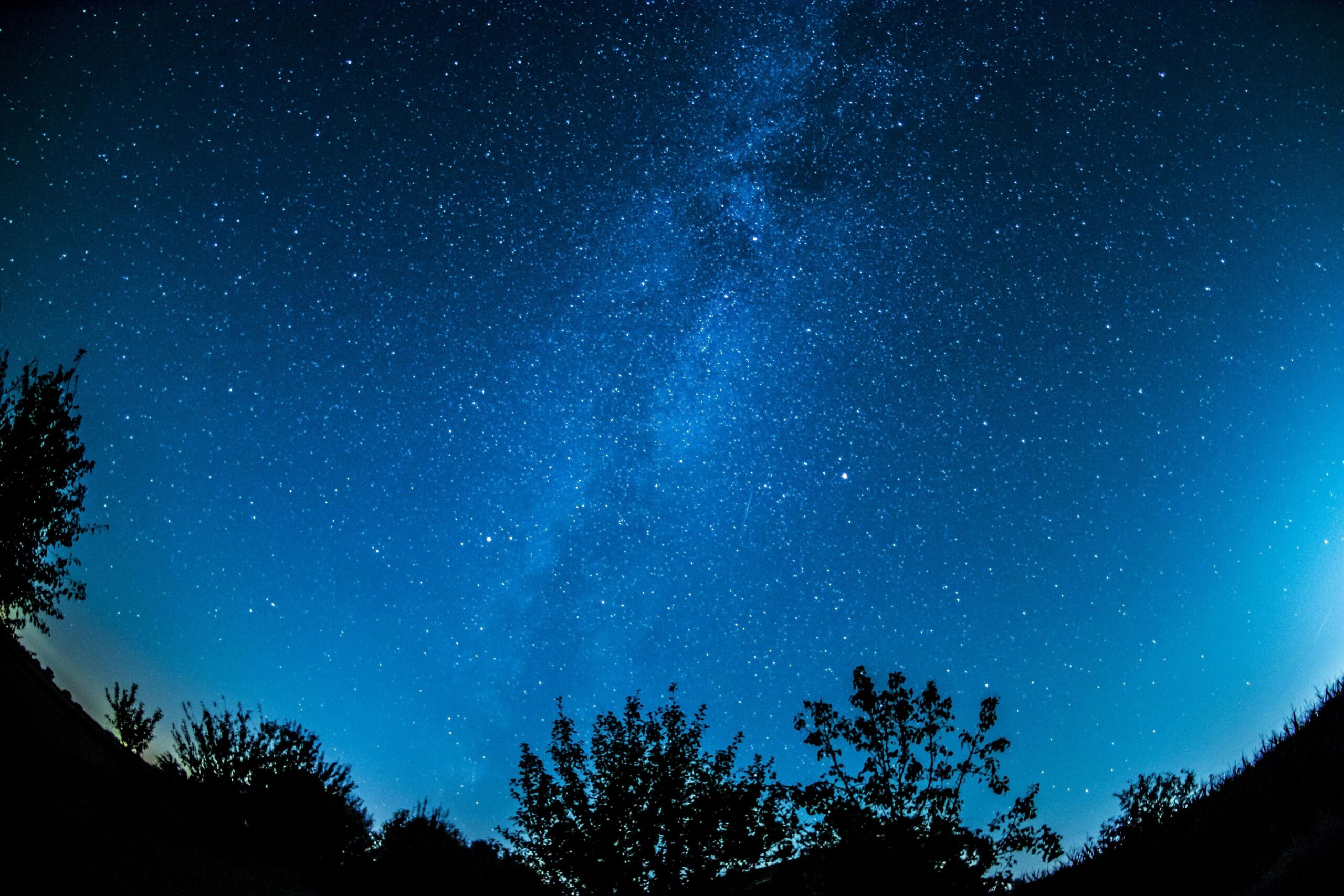 Ciel étoilé dans clairière