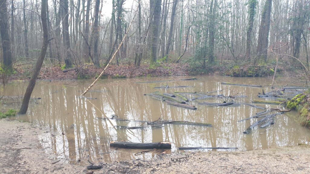Trou d'eau après de fortes pluies